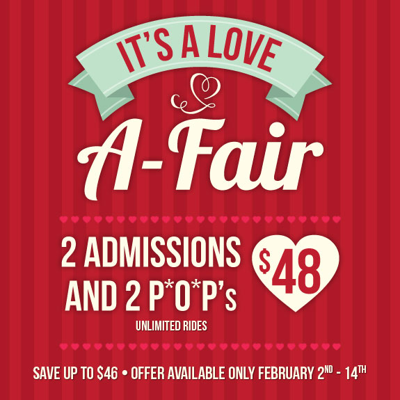 The 2015 Youth Fair