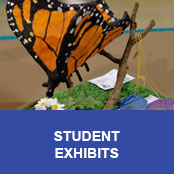 The 2014 Youth Fair