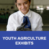 The 2014 Youth Fair