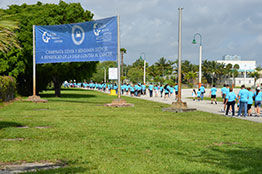 The Grounds