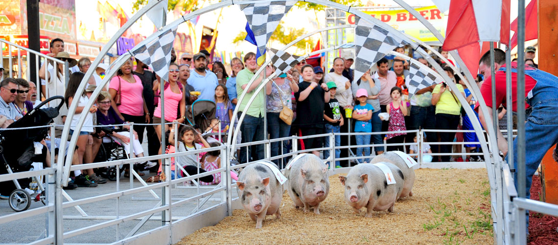 MiamiDade County Fair and Exposition Entertainment & Interactive