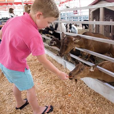 Image for Show Me Safari Petting Zoo