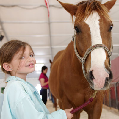 Image for The Barn