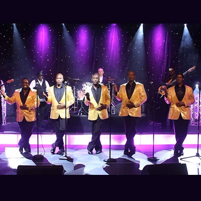 Image for The Motowners Tribute