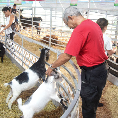 Image for Show-Me Safari Petting Zoo