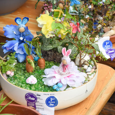 Image for The Garden