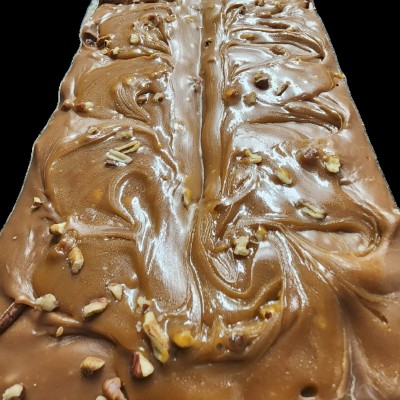 Turtle Fudge image